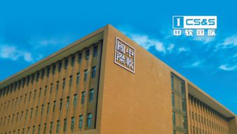 中軟卓越軟件開(kāi)發(fā)學(xué)員成功入職it名企